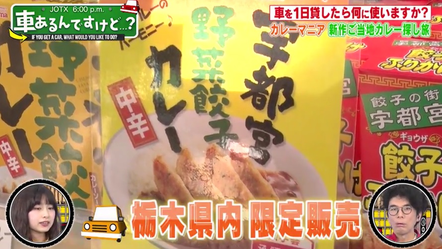 宇都宮野菜餃子カレーのパッケージ画像（写真）