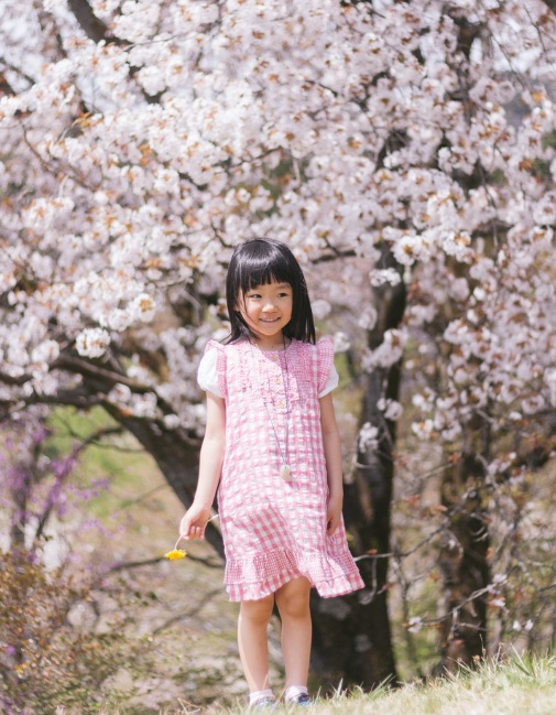 桜の木の下でそよ風に吹かれる女の子の画像