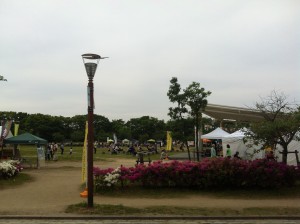 て