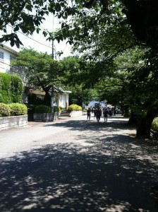 玉川学園駅前から玉川学園までの道です