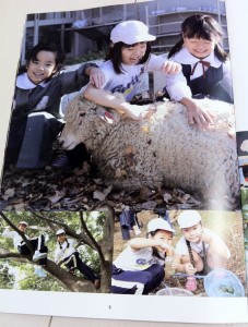 カリタス小学校の学校案内パンフレット（９ページ目）の画像キャプチャ