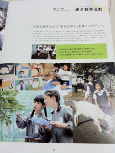 カリタス小学校の学校案内パンフレット（１０ページ目）の画像キャプチャ