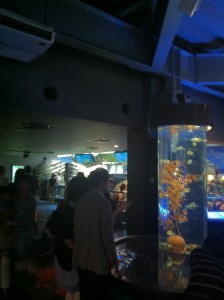 えのすいの館内画像05