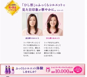 セグレタの応募画面はわかりにくいという画像