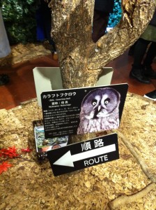 フクロウの森の通路は一方通行画像