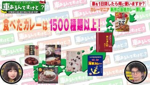 カレーマニア夫婦がどれだけのカレーを食べたかのgazou（写真）