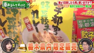 宇都宮野菜餃子カレーのパッケージ画像（写真）