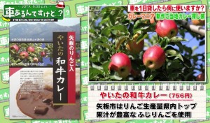 やいたの和牛カレーの商品説明画像（写真）