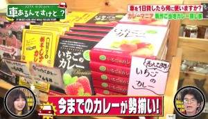 那須与一の郷には今までのカレーが勢ぞろい画像