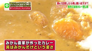 みかんカレー試食画像（写真）