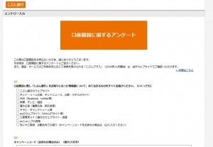 アンケート回答画像キャプチャ