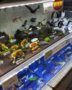 国立科学博物館のお土産屋さん～フィギュアの画像