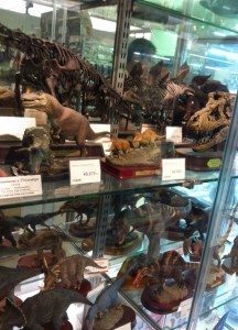 国立科学博物館のお土産屋さん～恐竜の化石の画像