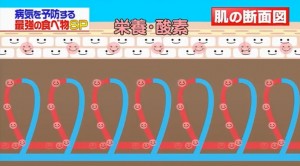 毛細血管は栄養や酸素を肌に送る画像キャプチャ