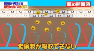 毛細血管が古くなると老廃物が吸収できない画像キャプチャ