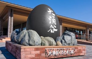 黒い卵の画像