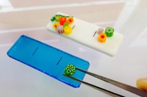 ガラスアート体験工房箱根湯本駅前工房の箸置き（見本）の画像