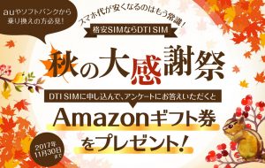 ＤＴＩ　ＳＩＭの秋の大感謝祭の画像