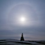後光効果に惑わされ、口だけの言葉に騙されないための方法のイメージ画像