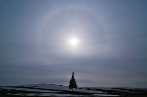 後光効果に惑わされ、口だけの言葉に騙されないための方法のイメージ画像