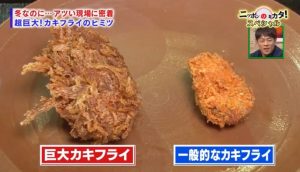 １日限定５０食の巨大カキフライの大きさを普通のカキフライと比較（画像）