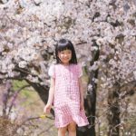 桜の木の下でそよ風に吹かれる女の子の画像