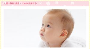 「人間の脳は3歳までに80％完成する」という画像（ＴＯＥベビーパークの公式ホームページ画像）