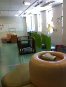 精華小学校の廊下に展示されている物と、動物もいるという画像