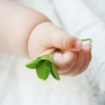 ＴＯＥベビーパークの早期教育で子供を幸せにする（イメージ画像）