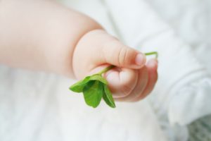 ＴＯＥベビーパークの早期教育で子供を幸せにする（イメージ画像）