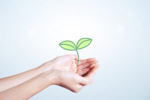 ＴＯＥベビーパークの適切な早期教育で赤ちゃんの能力を育むというイメージ画像