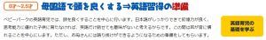 ＴＯＥベビーパーク公式ホームページの画像「ベビーパーク流「日本人の家庭でバイリンガルを育てる方法」の①０歳～２歳半」