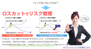 子育て主婦におすすめの1,000通貨単位のFX会社ヒロセ通商でしっかりとロスカットをしていることのイメージ画像