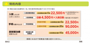 無配当総合医療特約（Ⅰ型）、特約基準保険金額300万円の特約内容