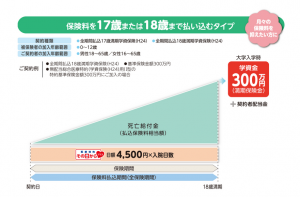 「大学入学時」の学資金準備コース（18歳満期）の概要