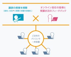 首都圏で中学受験を目指す小学生におすすめのＺ会×エクタス 筑駒・東京男子御三家 オンライン学習コースの指導体制