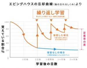 エビングハウスの忘却曲線の復習頻度