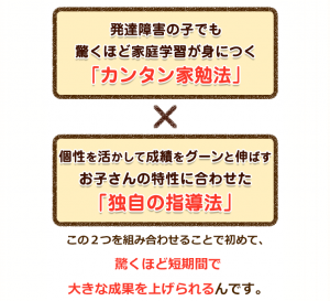 家庭教師あすなろの発達障害コースの指導法