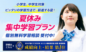 学研の家庭教師 夏休み集中学習プラン