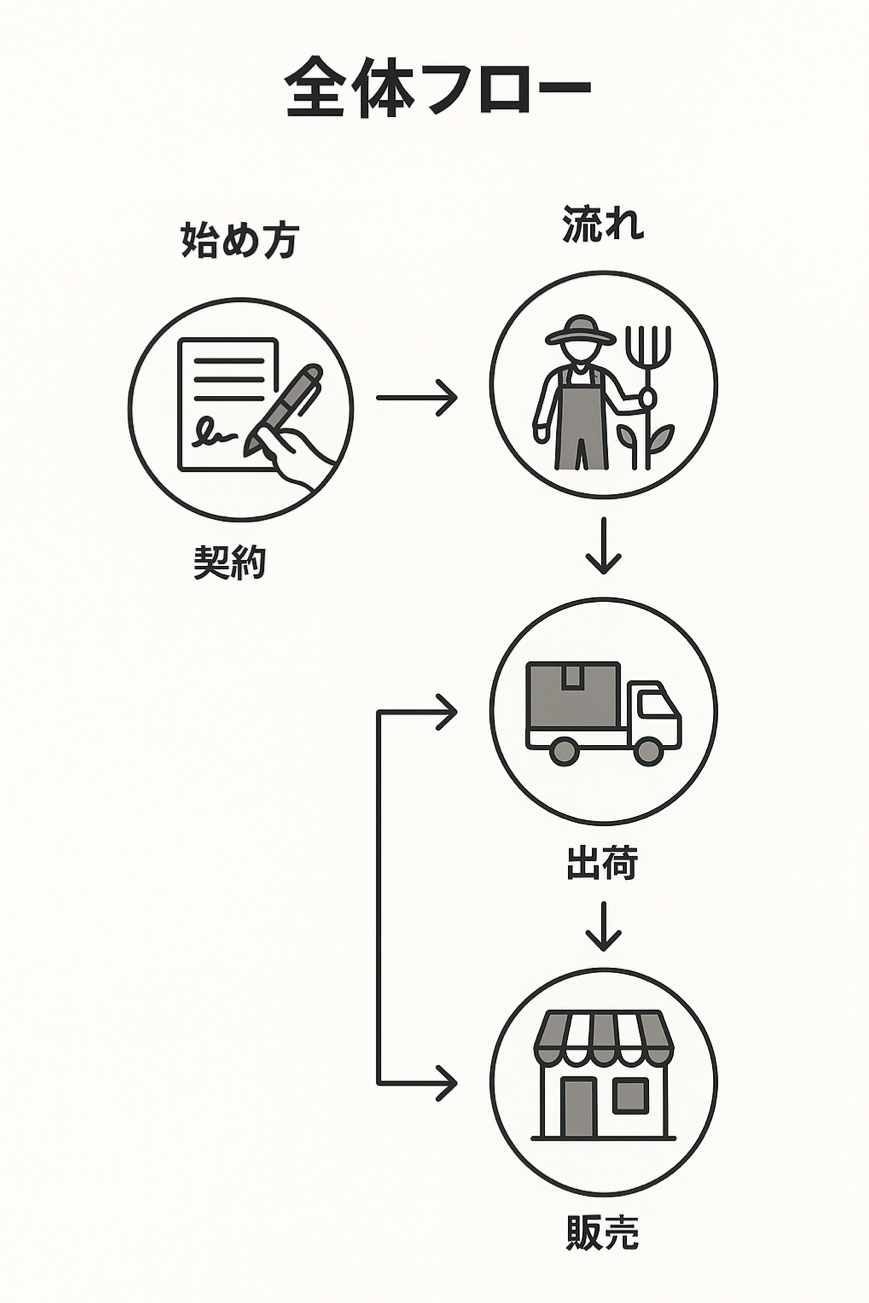 農産物委託販売の全体フローと具体的な始め方・流れを詳細に図解した図解イラスト