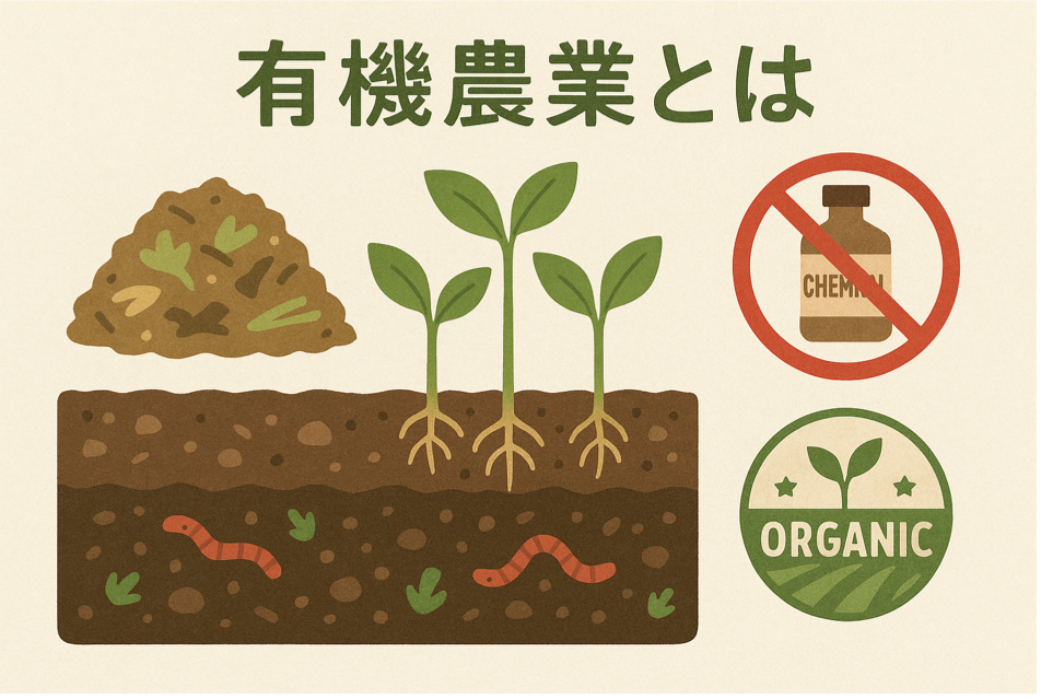 有機農業の定義、無化学農薬、堆肥使用、認証制度を表現した図解イラスト