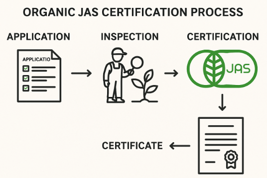 有機JAS認証制度の取得プロセスを示す図解