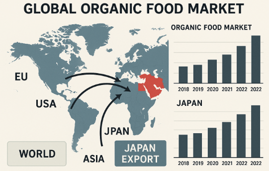 世界の有機食品市場動向と日本の輸出ポジションを示す図解