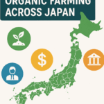 都道府県別有機農業比較