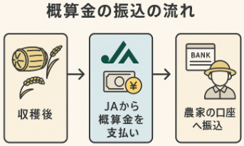 農家の概算金における支払い時期と振込の流れ