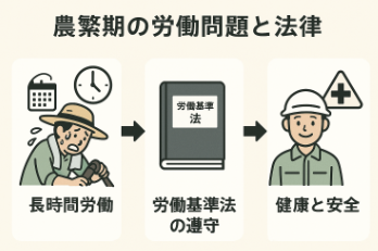 農家の繁忙期における労働問題と法律