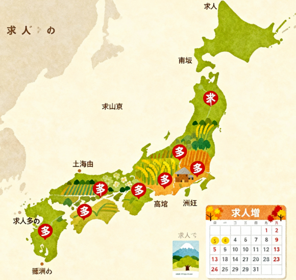 タイミー農業求人が多い地域（北海道、関東など）と時期（繁忙期）を示す日本地図イラスト
