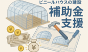 ビニールハウス建設と農業補助金制度のイラスト、設計図と資金支援を表す図解