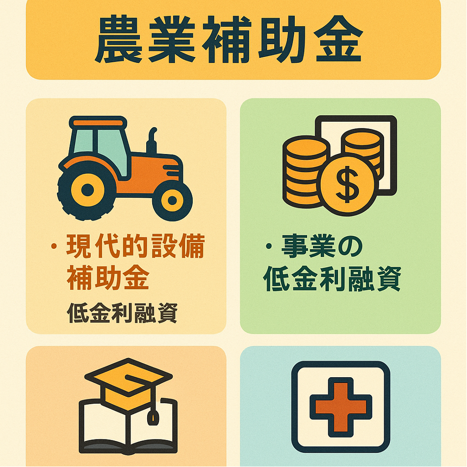 2025年版50歳以上対象の農業補助金制度一覧インフォグラフィック、各種政府支援制度をアイコンで表現