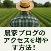アクセス数が増える成長促進イメージ